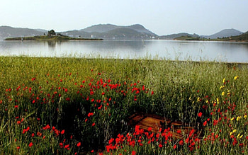 Cunda-Ayvalik, ayvalik, island, cunda, aegean, turkey HD wallpaper