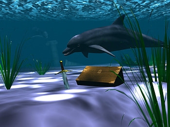 Dolphin, animal, sea, ocean HD wallpaper