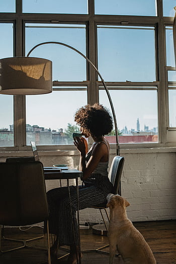 Woman working on a laptop by the window with her dog. Bright, modern home office setting. HD phone wallpaper