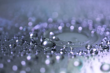 Captivating macro graph of water droplets highlighting reflection and clarity. HD wallpaper