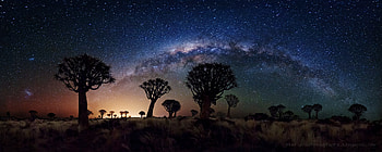 Milky Way over Quiver Trees () HD wallpaper