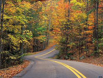 Landscape, Roads, Autumn HD wallpaper