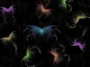 Butterfly, abstract HD wallpaper