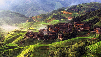 Asia's scenic beauty, Misty morning village, Terraced fields, Tranquil countryside HD wallpaper