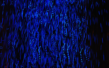 blue abstract rain, black background, blue lines background, blue lines abstraction, blue 3d rain HD wallpaper