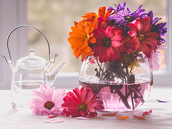 Still Life, bouquet, vase, kettle, flowers HD wallpaper