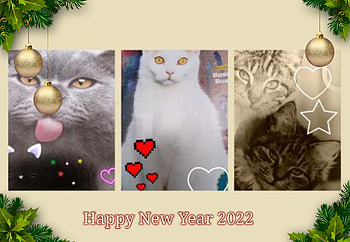 Happy Holidays, cats, Winter, Holidays, Cute HD wallpaper