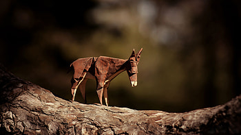 Donkey Origami, origami, donkey, creative HD wallpaper