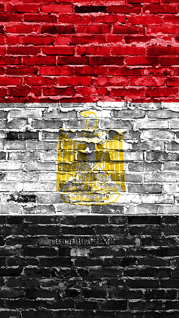 Egypt flag, egyptian flag, eagle, sign, wall HD phone wallpaper