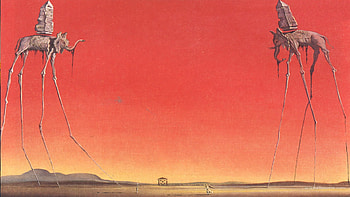 Salvador Dali from Little Ashes Salvador Dali . HD wallpaper
