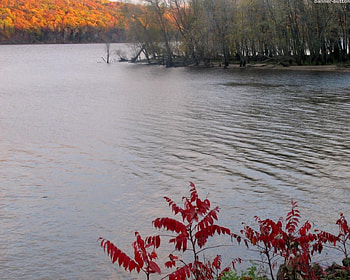 River, nature, rivers HD wallpaper