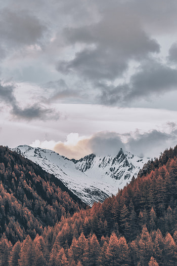 Nature, Trees, Sky, Mountains, Clouds, Italy, View From Above, Snow Covered, Snowbound HD phone wallpaper