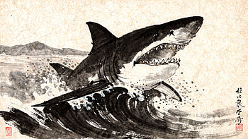 Megalodon Surge —, Shark HD wallpaper