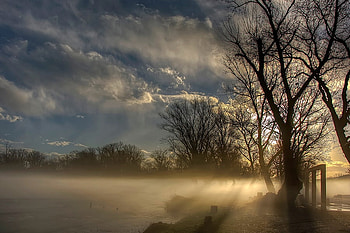 In the fog, nature, forest HD wallpaper
