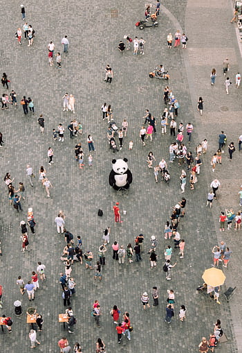 Aerial shot of a bustling city square with a panda mascot and street performers engaging a crowd. HD phone wallpaper