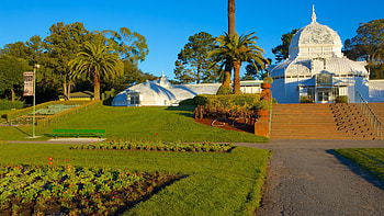 Golden Gate Park, Vacation rentals, House rentals, VRBO HD wallpaper