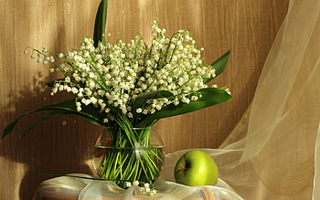 Lilies of Valley, still life, apple, glass HD wallpaper