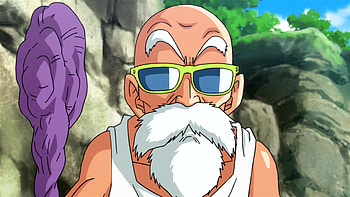 Kame Sennin, Dragon Ball's wise sage, Mysterious mentor, Ancient teachings HD wallpaper