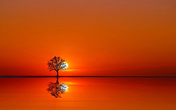 sunset, fun, cool, nature, lake HD wallpaper