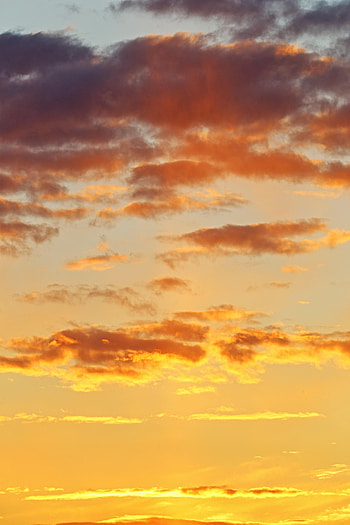 Nature, Sunset, Sky, Clouds, Gold, Golden HD phone wallpaper