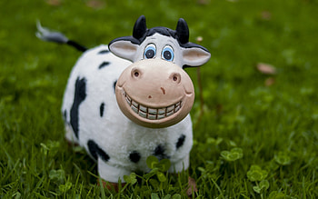 Smiling Cow, cow, toy, grass, smile HD wallpaper