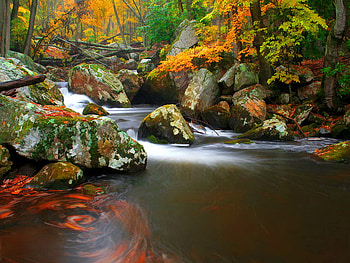 Swirls, fall, beautiful, stones, autumn, nature, water, forest, stream HD wallpaper