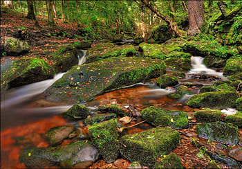 Country park, colorful, beautiful, country, nice, park, pretty, waterfall, trees, nature, water, lovely, forest, stream HD wallpaper