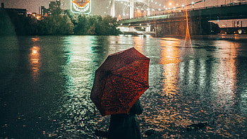 Girl With Umbrella Watching The Glowing Lights Of City, umbrella, girls, graphy, rain HD wallpaper