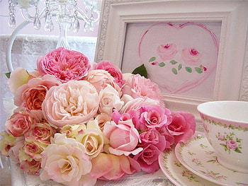 Morning with pink roses, softness, morning, tea, roses, colour, beauty, still life, pink, nature HD wallpaper
