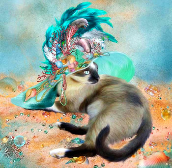 Hat , shells, fantasy, dolphins, cat, ocean HD wallpaper