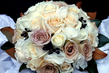 Flowers, Roses, Registration, Typography, Bouquet, Handsomely, It's Beautiful HD wallpaper