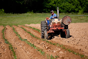 A farmer driving a tractor plowing rows in a rural North Carolina field on a sunny day. HD wallpaper