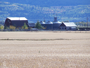 Farm facing Pole Canyon, Victor, Idaho, Fields, Fall, Farms, Mountains, Autumn HD wallpaper