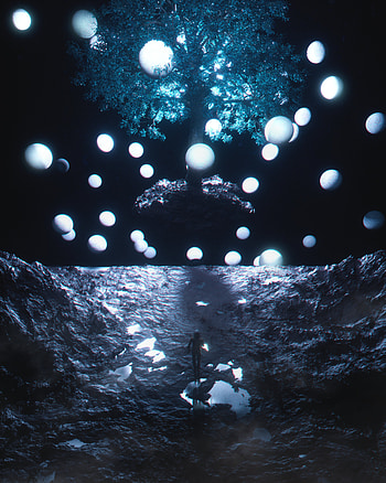 Dark, Wood, Tree, Darkness, Glow, Balls, Levitation HD phone wallpaper