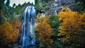 forest falls, trees, cliffs, rocks, water, forest HD wallpaper