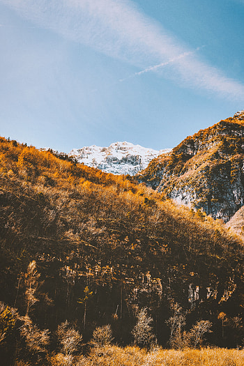 Landscape, Nature, Trees, Mountains, Vegetation, Slopes HD phone wallpaper