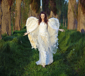 Angel, wings, lady, forest HD wallpaper