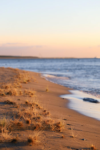 Nature, Grass, Sea, Beach, Horizon, Coast HD phone wallpaper