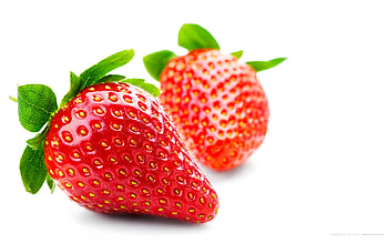 Plants, Food, Strawberry HD wallpaper