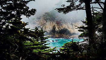 Window to Cypress Cove at Point Lobos State Natural Preserve - Carmel, CA, fog, california, trees, water, mountain, usa HD wallpaper
