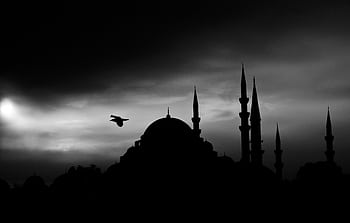 A black and white of a mosque silhouette with a bird flying during twilight. HD wallpaper