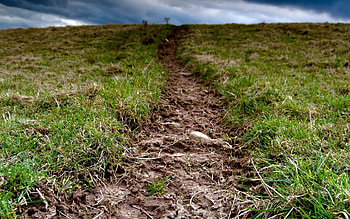 Nature, Grass, Land, Earth, Mainly Cloudy, Overcast, Mud, Dirt HD wallpaper