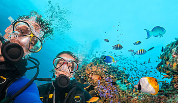 Scuba diving in Spain, Best diving spots, Checkyeti blog, Underwater beauty HD wallpaper