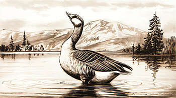 Majestic Goose in Ultra, goose, duck, bird, illustration, lake HD wallpaper