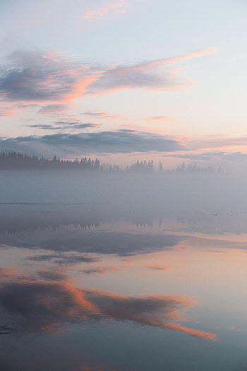 Nature, Trees, Clouds, Reflection, Fog HD phone wallpaper