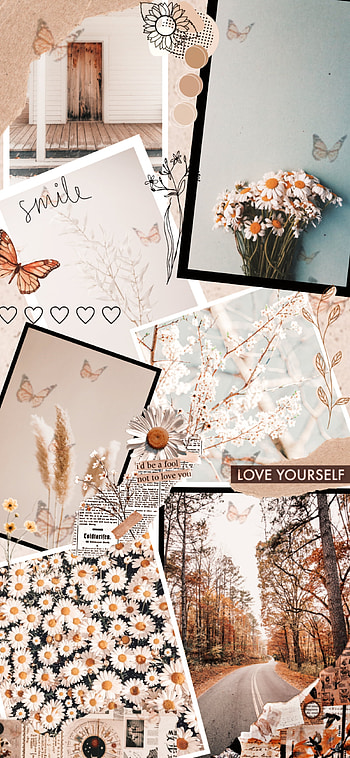 Aesthetic pattern, orange, trending, white, craft, brown HD phone wallpaper