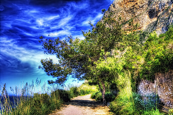 Lovely Path, blue, graphy, path, tree, green, clouds, nature, sky, lovely HD wallpaper