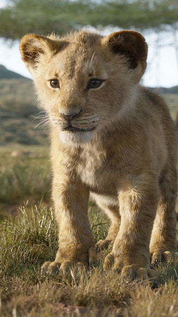 The Lion King, Simba, Samsung Galaxy S6 HD phone wallpaper