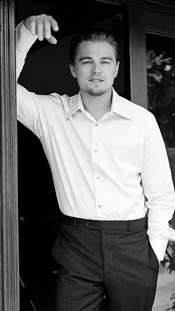 Leonardo DiCaprio, Celebrity actor, Movie career, collection HD phone wallpaper