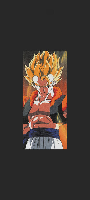 Gogeta, pelea-_-naranja, arte_-marcial HD phone wallpaper